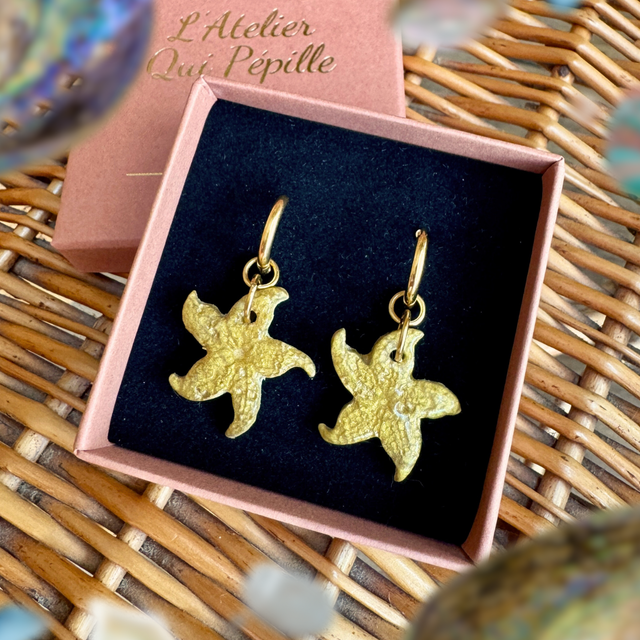 Asterines Feuille d'or