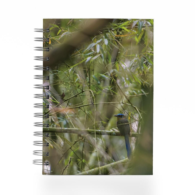 Bitácora Barranquero