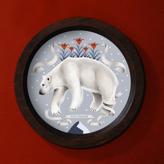 Cadre "Ursi Polaris"
