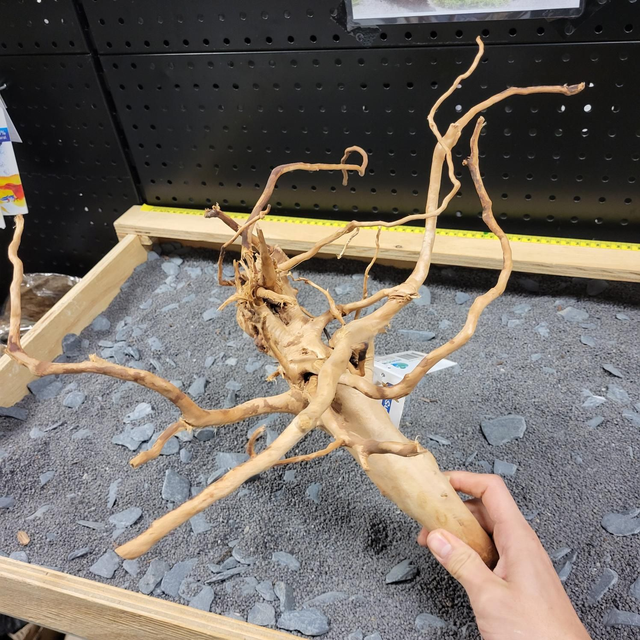 Sf spiderwood M 8715897259951