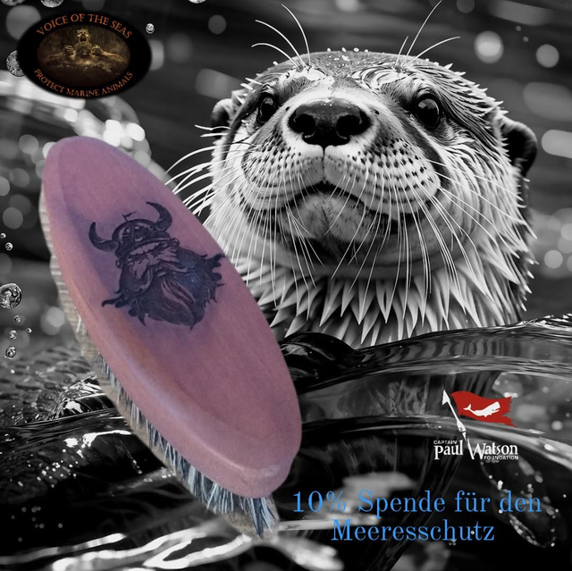 Bartbürste "Wikinger" (1)