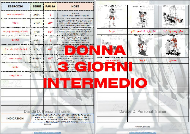 ALLENAMENTO DONNA - PALESTRA - DIMAGRIMENTO - 3GG. - INTERMEDIO