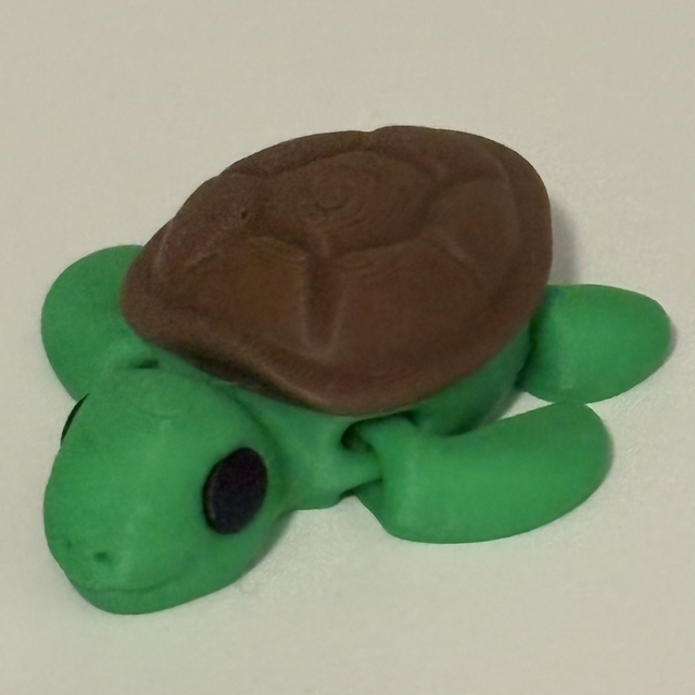 3D Printed Turtle