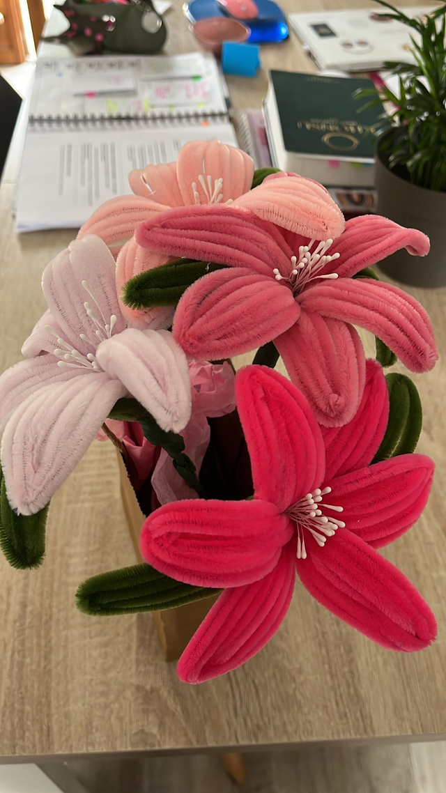 Fleurs Colorées 