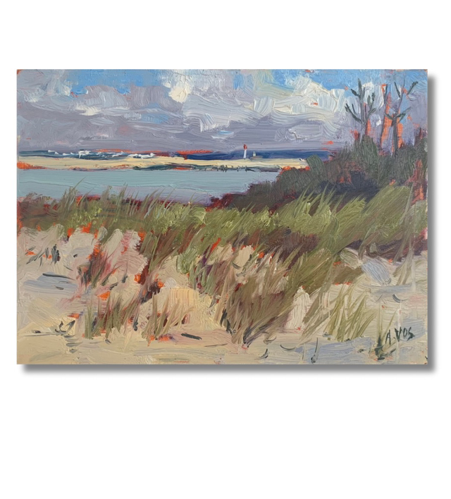 Le Petit Nice - plage de la côte atlantique