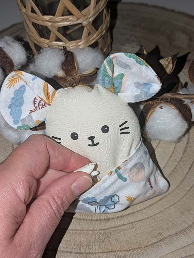 Souris dent de lait