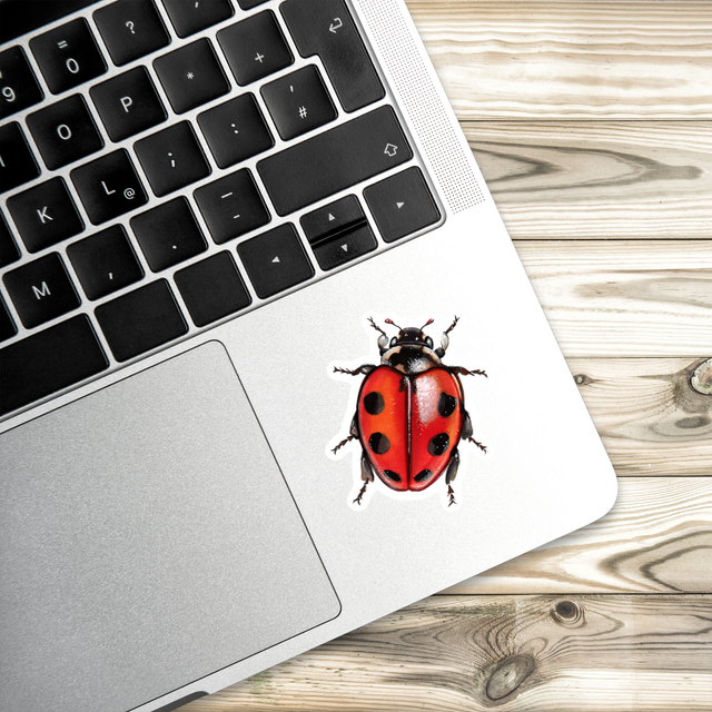 Stickers - Coccinelle