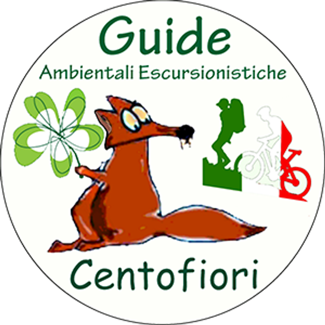 Escursioni e Attività su misura - RICHIEDI INFORMAZIONI !!!