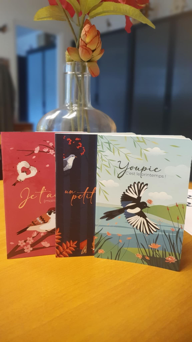 Ensemble de 3 carnets collector - Format A6