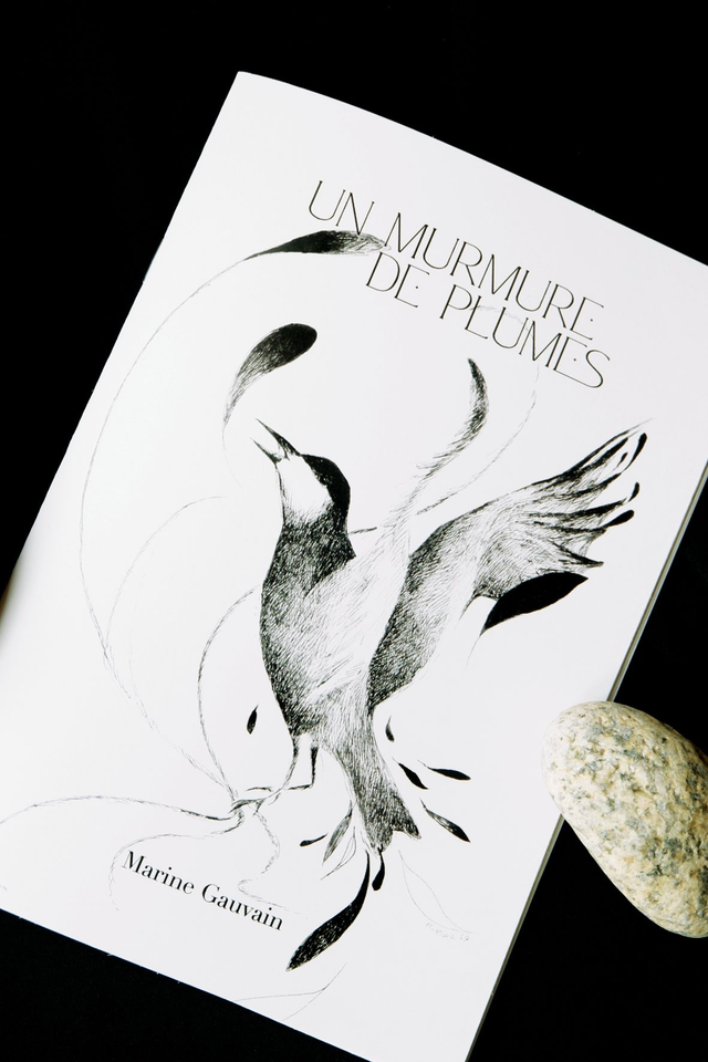 Livret "Un murmure de plumes"