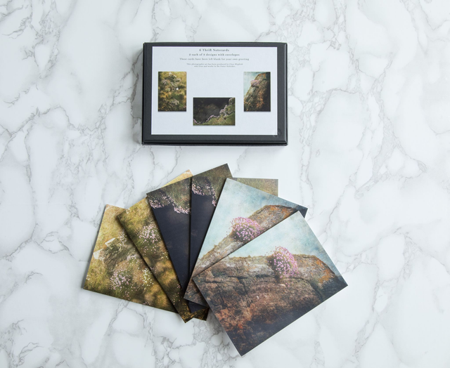 Thrift Note Cards x6