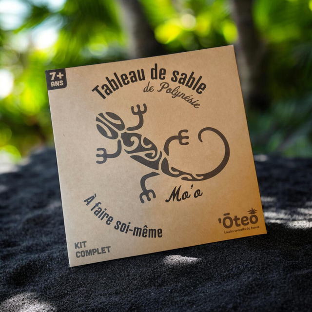 Tableau de sable DIY Oteo - Lézard