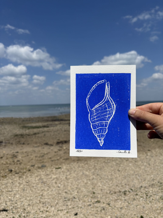 Le coquillage dodu