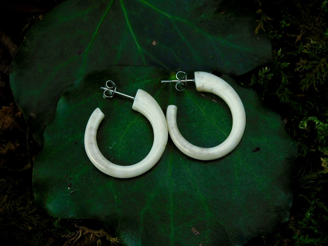 Créoles - moyenne taille