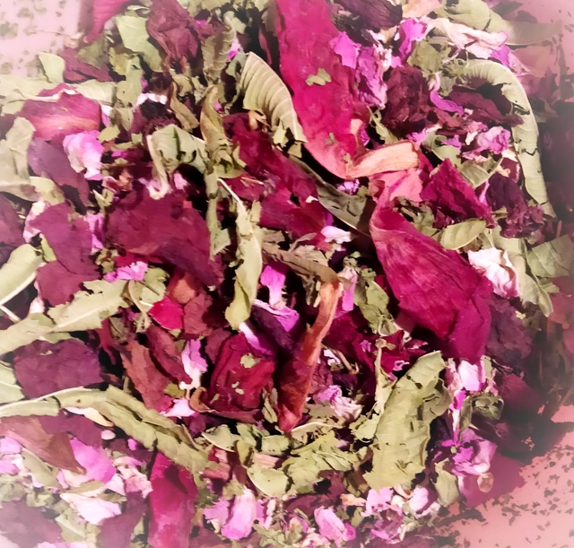 La Fée Néante (détente)