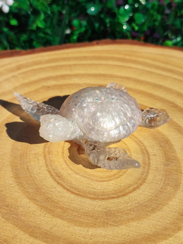 Tortue de mer