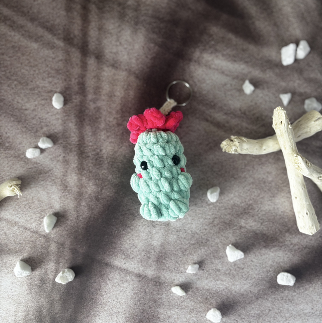 Porte-clés cactus tout doux 