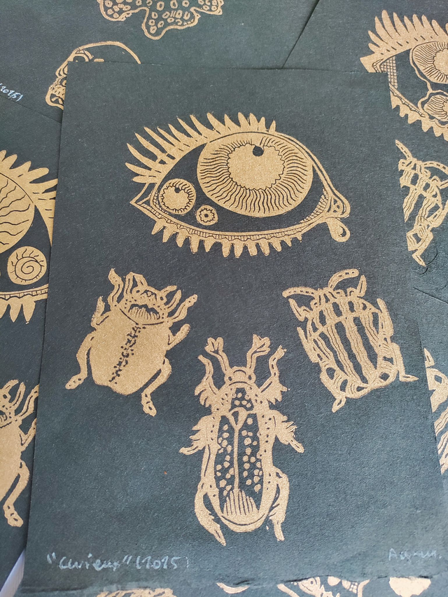 Impression Linogravure "cabinet de curiosité" impressions aléatoires format A5, grand scarabé