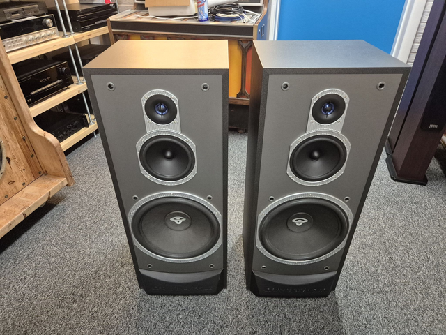 Cerwin Vega V-12F