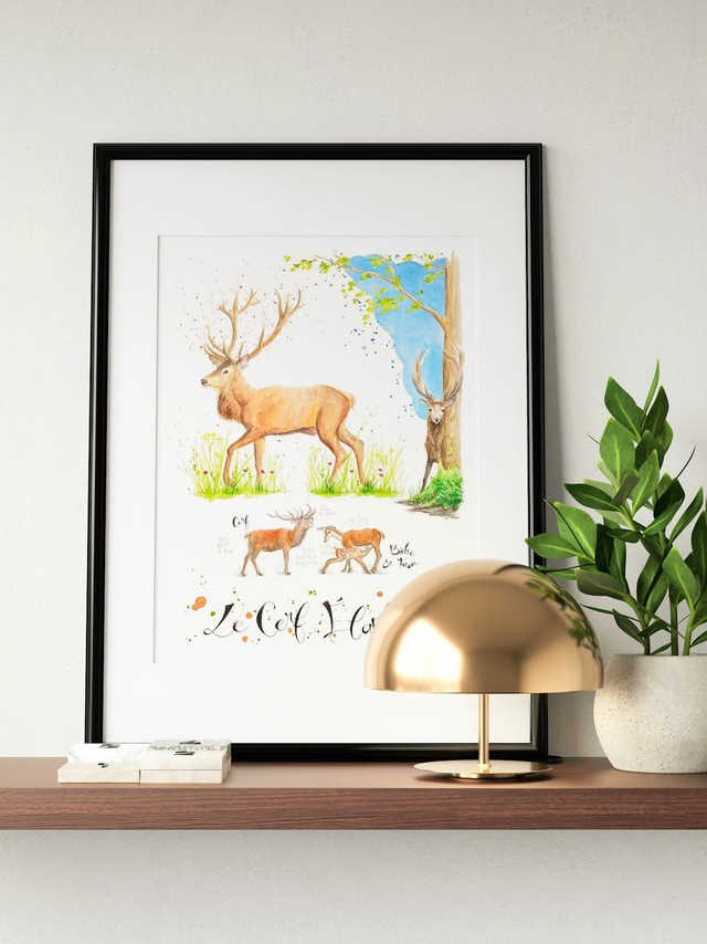 Planche naturaliste moderne cerf élaphe à l'aquarelle