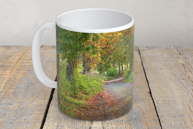 “Autumn in the Ewden Valley” Mug 