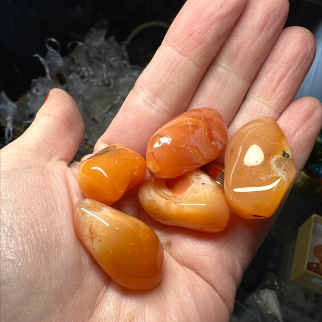 Carnelian XL