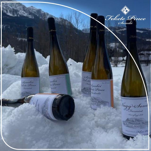 Csomag: Utolsó tételek, 11+1 palack, 15% kedvezménnyel, ingyenes kiszállítással