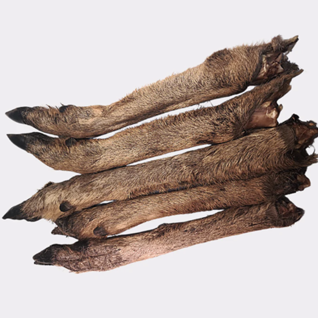 DEER LEGS (Single)
