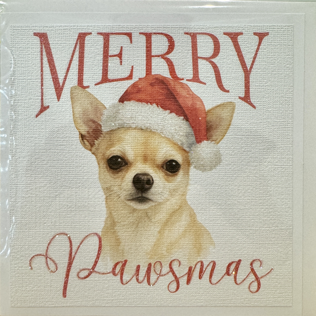 Chihuahua Pawsmas Card
