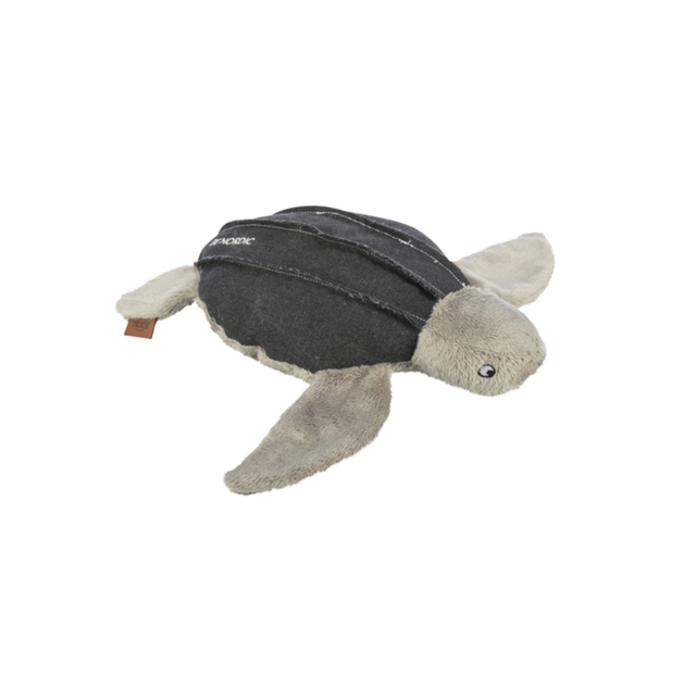 Schildkröte Hauke, Trixie