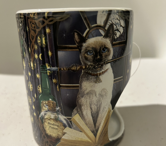 Brûleur chat siamois 