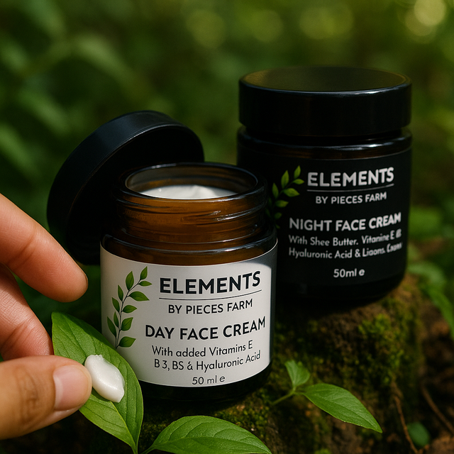 Day & Night Face Cream Bundle