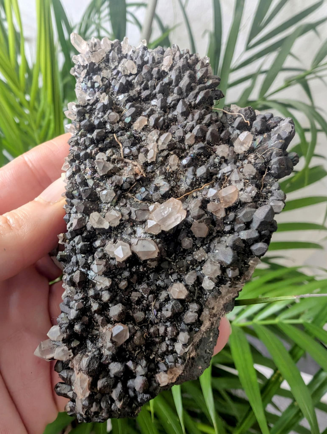 BLACKNITE QUARTZ -        weight 189g / size 10x6cm
