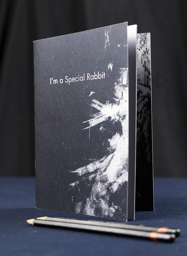 Chapbook /  &quot;I&#039;m a Special Rabbit&quot;