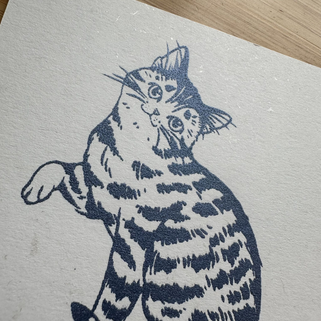 Cats at Play - You Called?