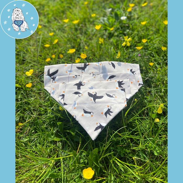 Much Ado About Puffin Handmade dog accessories 