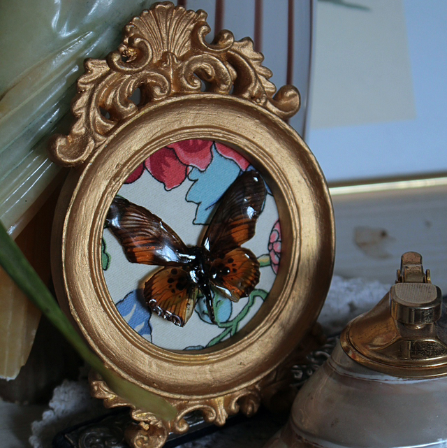 Papillon sous résine 