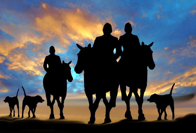 Horse &amp; Hounds 3