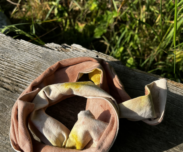Collection Pépite - Bandeau B
