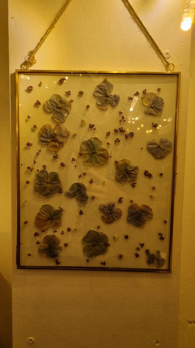 Cadre fleurs séchées 