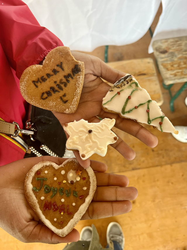 13/12 DÉCORATION DE BISCUITS DE NOËL 🎄✨