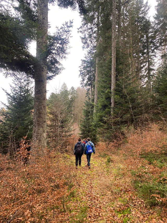 Atelier rando et pastel - 6 juin 2026