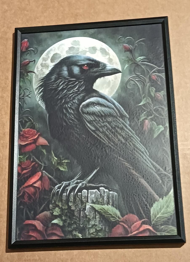 Custom A4 Raven and Roses Picture.