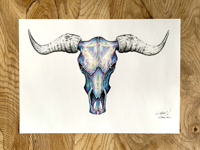 Bull skull coloured 