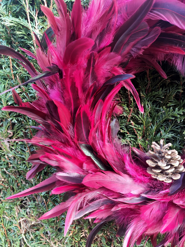 Couronne en plumes de coq rouges