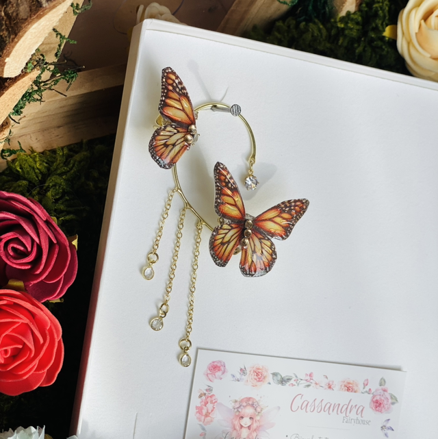 Monarque tour d’oreille 