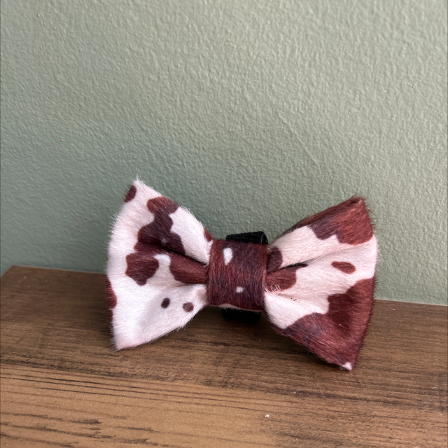 Rodeo pup bow tie 