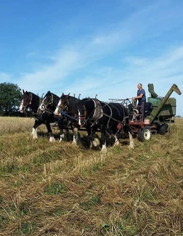 Two course supper &amp; talk  - 6:30pm, 7th February - The Waterers from Higher Biddacott give a talk on working with their heavy horses