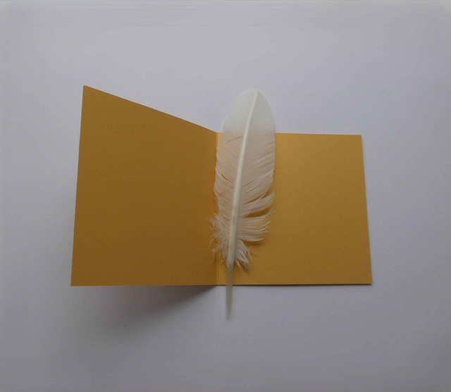 Une étoile de Noël