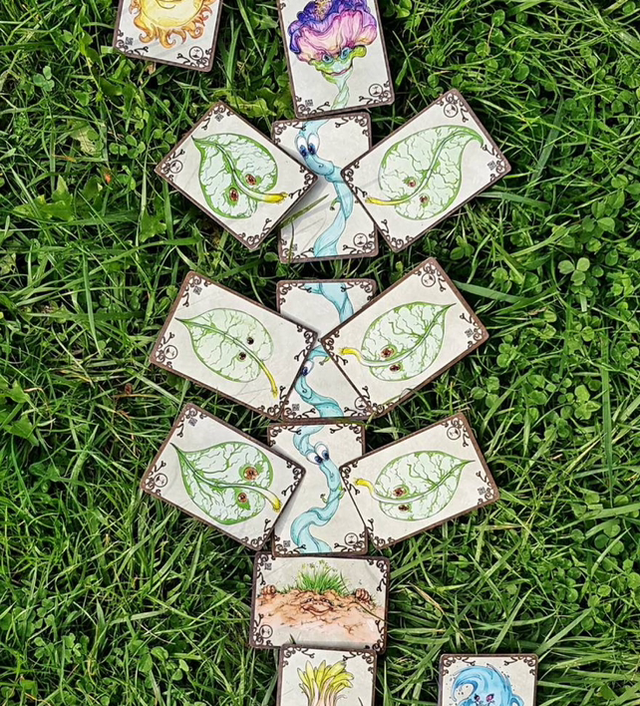 Calix - jeu de cartes autour de la nature